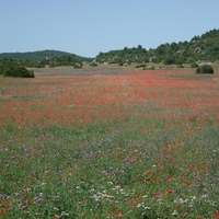 Photo de France - La Couvertoirade